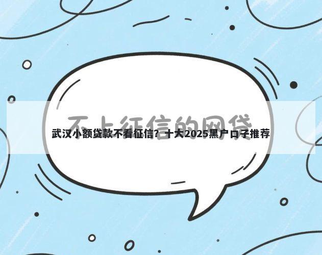 武汉小额贷款不看征信?十大2025黑户口子推荐