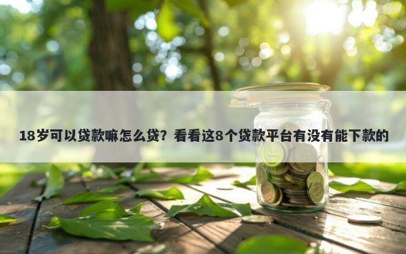 18岁可以贷款嘛怎么贷?看看这8个贷款平台有没有能下款的