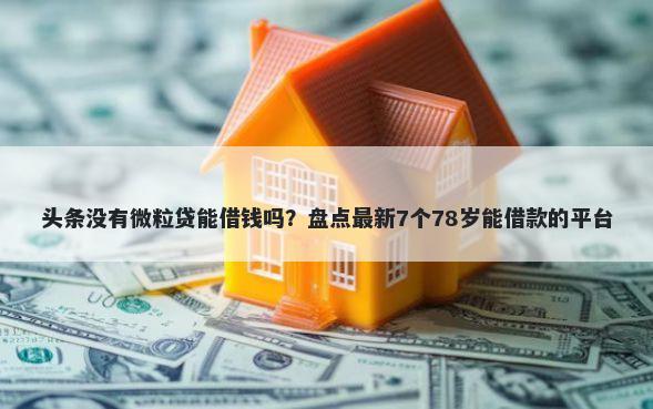 头条没有微粒贷能借钱吗？盘点最新7个78岁能借款的平台