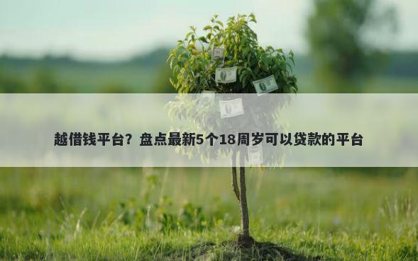 越借钱平台？盘点最新5个18周岁可以贷款的平台
