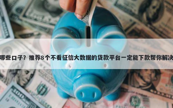 大学生有哪些口子?推荐8个不看征信大数据的贷款平台一定能下款帮你解决资金问题
