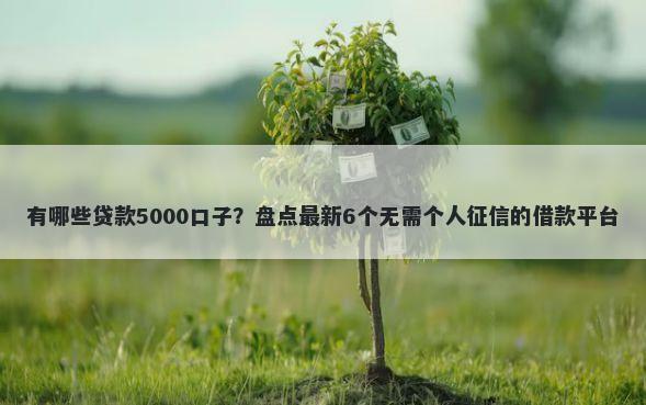 有哪些贷款5000口子？盘点最新6个无需个人征信的借款平台