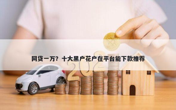 网贷一万？十大黑户花户在平台能下款推荐