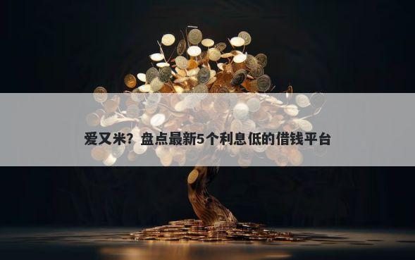 爱又米？盘点最新5个利息低的借钱平台
