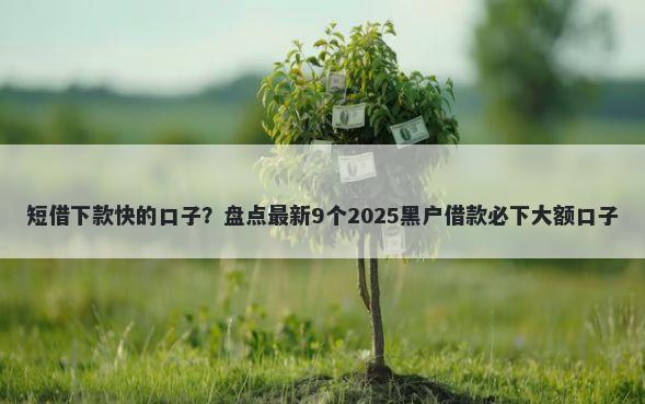 短借下款快的口子？盘点最新9个2025黑户借款必下大额口子