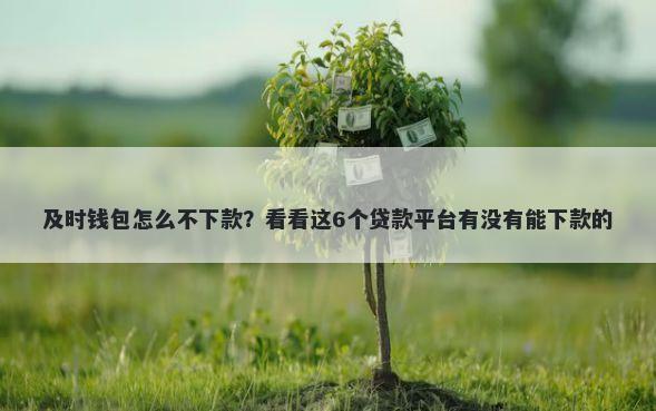 及时钱包怎么不下款？看看这6个贷款平台有没有能下款的