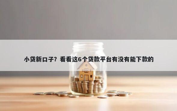 小贷新口子？看看这6个贷款平台有没有能下款的
