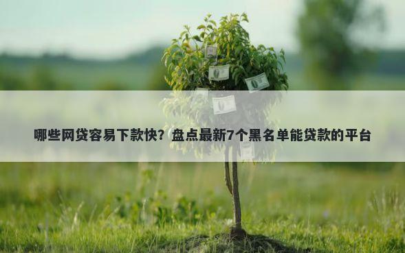 哪些网贷容易下款快？盘点最新7个黑名单能贷款的平台