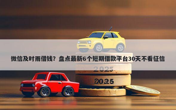 微信及时雨借钱？盘点最新6个短期借款平台30天不看征信