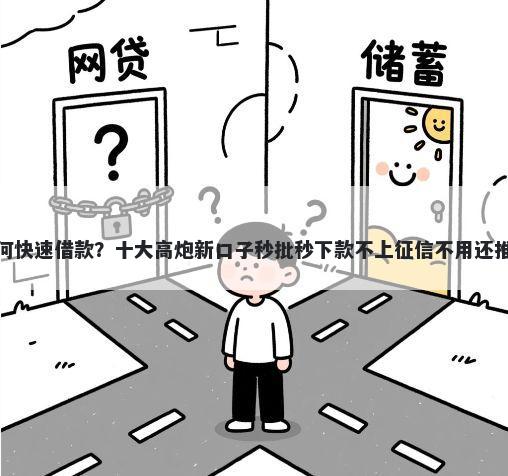 如何快速借款？十大高炮新口子秒批秒下款不上征信不用还推荐