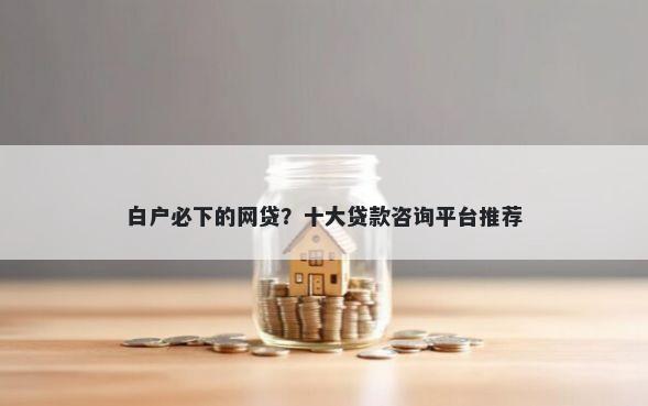 白户必下的网贷？十大贷款咨询平台推荐