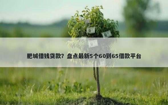 肥城借钱贷款？盘点最新5个60到65借款平台