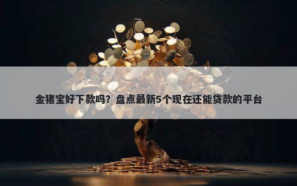 金猪宝好下款吗？盘点最新5个现在还能贷款的平台