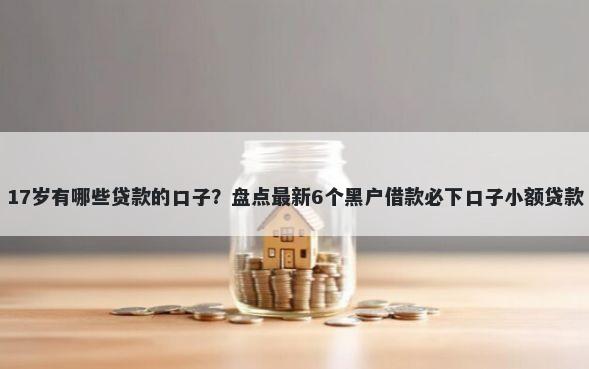 17岁有哪些贷款的口子？盘点最新6个黑户借款必下口子小额贷款