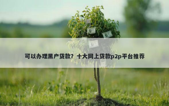 可以办理黑户贷款？十大网上贷款p2p平台推荐