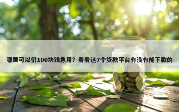 哪里可以借100块钱急用？看看这7个贷款平台有没有能下款的