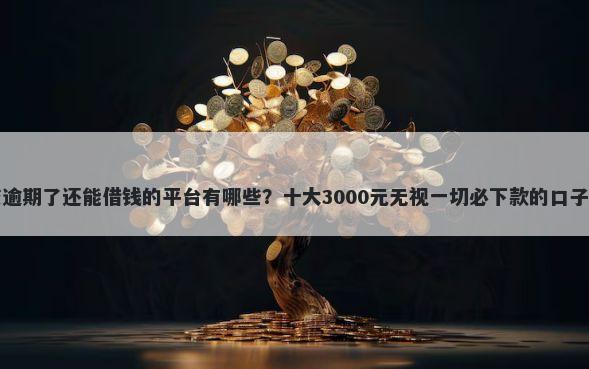 网贷逾期了还能借钱的平台有哪些？十大3000元无视一切必下款的口子推荐