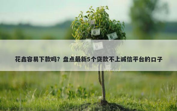 花鑫容易下款吗？盘点最新5个贷款不上诚信平台的口子