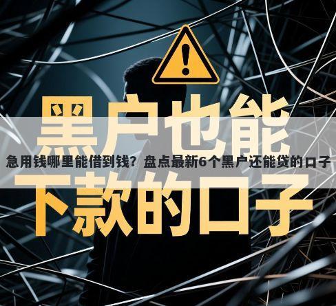 急用钱哪里能借到钱？盘点最新6个黑户还能贷的口子