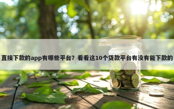 直接下款的app有哪些平台?看看这10个贷款平台有没有能下款的