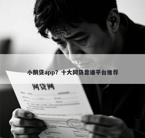 小鹅贷app?十大网贷靠谱平台推荐