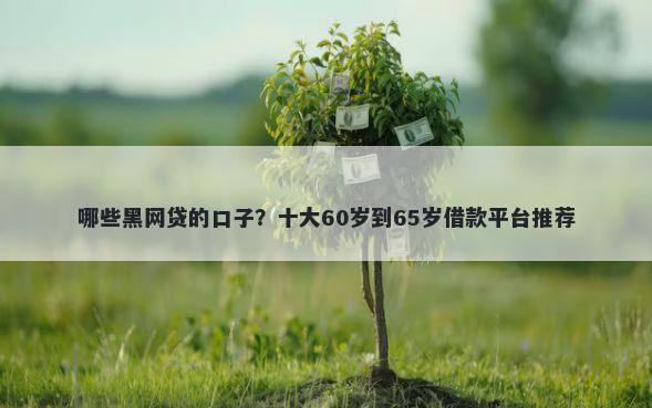 哪些黑网贷的口子？十大60岁到65岁借款平台推荐