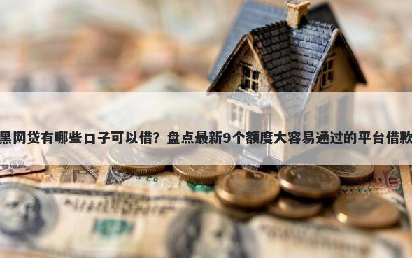 黑网贷有哪些口子可以借？盘点最新9个额度大容易通过的平台借款