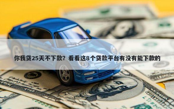 你我贷25天不下款?看看这8个贷款平台有没有能下款的