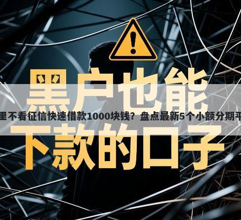 哪里不看征信快速借款1000块钱？盘点最新5个小额分期平台