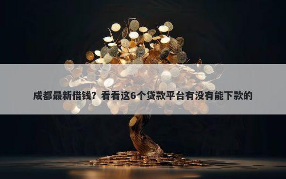 成都最新借钱？看看这6个贷款平台有没有能下款的