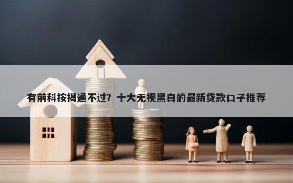 有前科按揭通不过？十大无视黑白的最新贷款口子推荐