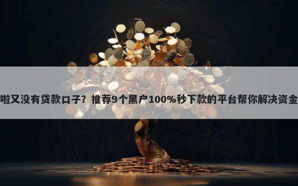 过年啦又没有贷款口子?推荐9个黑户100%秒下款的平台帮你解决资金问题