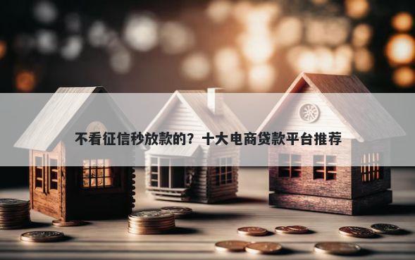 不看征信秒放款的？十大电商贷款平台推荐