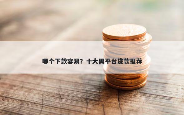 哪个下款容易？十大黑平台贷款推荐