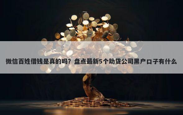 微信百姓借钱是真的吗？盘点最新5个助贷公司黑户口子有什么