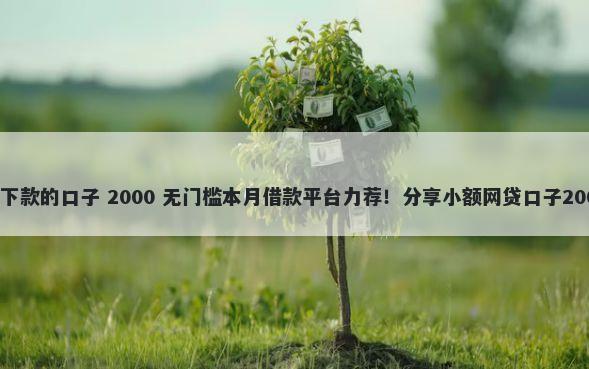 强制网贷还能下款的口子 2000 无门槛本月借款平台力荐！分享小额网贷口子2000无门槛借款