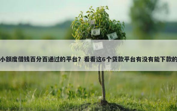 小额度借钱百分百通过的平台？看看这6个贷款平台有没有能下款的