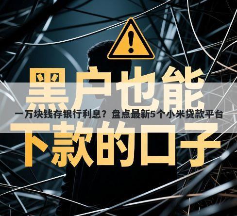 一万块钱存银行利息？盘点最新5个小米贷款平台