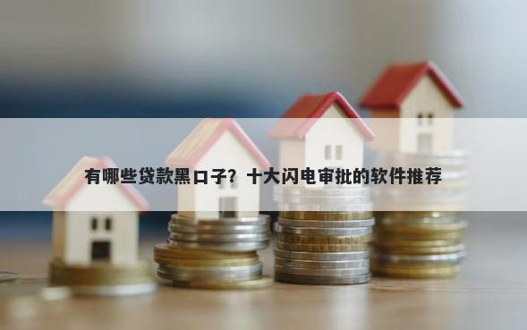 有哪些贷款黑口子？十大闪电审批的软件推荐