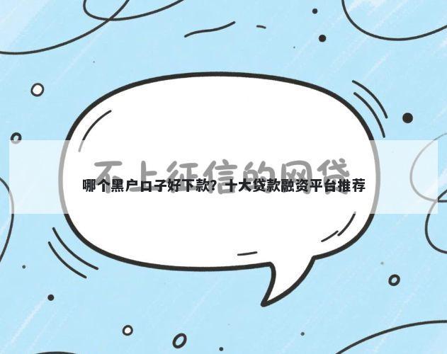 哪个黑户口子好下款？十大贷款融资平台推荐