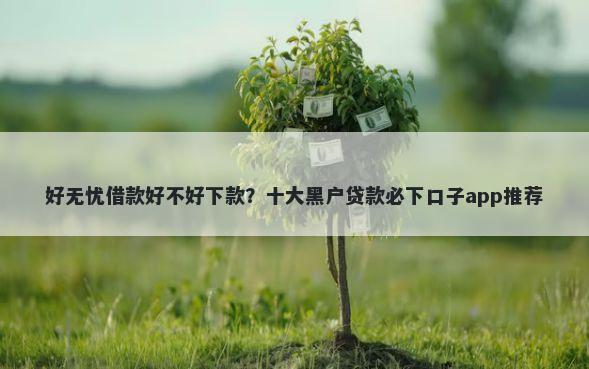好无忧借款好不好下款？十大黑户贷款必下口子app推荐