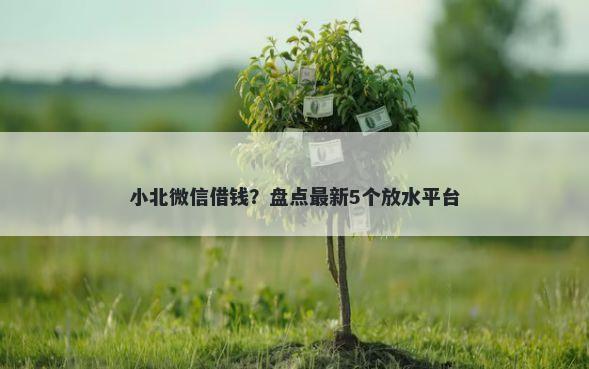 小北微信借钱？盘点最新5个放水平台
