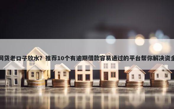 哪些网贷老口子放水？推荐10个有逾期借款容易通过的平台帮你解决资金问题