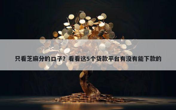 只看芝麻分的口子？看看这5个贷款平台有没有能下款的