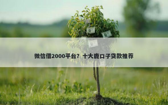 微信借2000平台？十大鹿口子贷款推荐