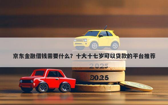 京东金融借钱需要什么？十大十七岁可以贷款的平台推荐