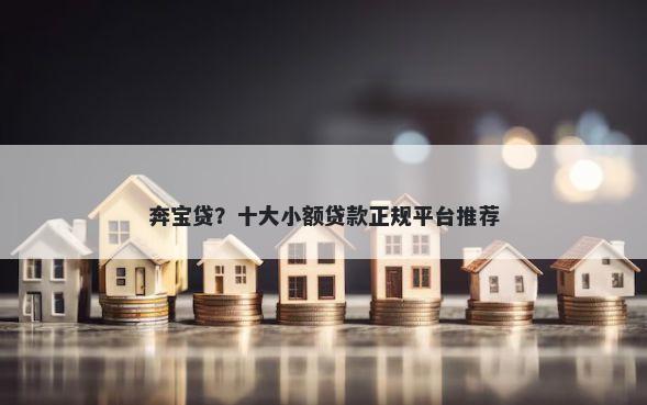 奔宝贷？十大小额贷款正规平台推荐