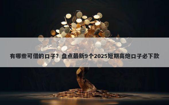 有哪些可借的口子？盘点最新9个2025短期高炮口子必下款