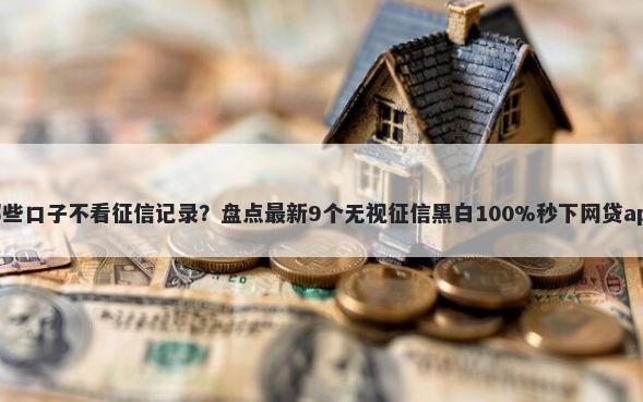 哪些口子不看征信记录？盘点最新9个无视征信黑白100%秒下网贷app