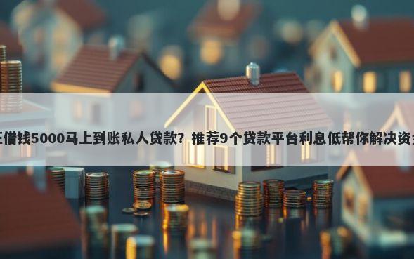 身份证借钱5000马上到账私人贷款?推荐9个贷款平台利息低帮你解决资金问题